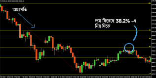 Forex Profit BD