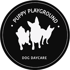 Puppy Play Ground