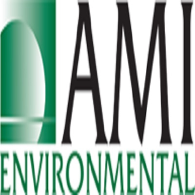 AMI  Environmental 