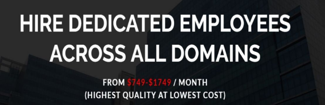 Virtual Employee