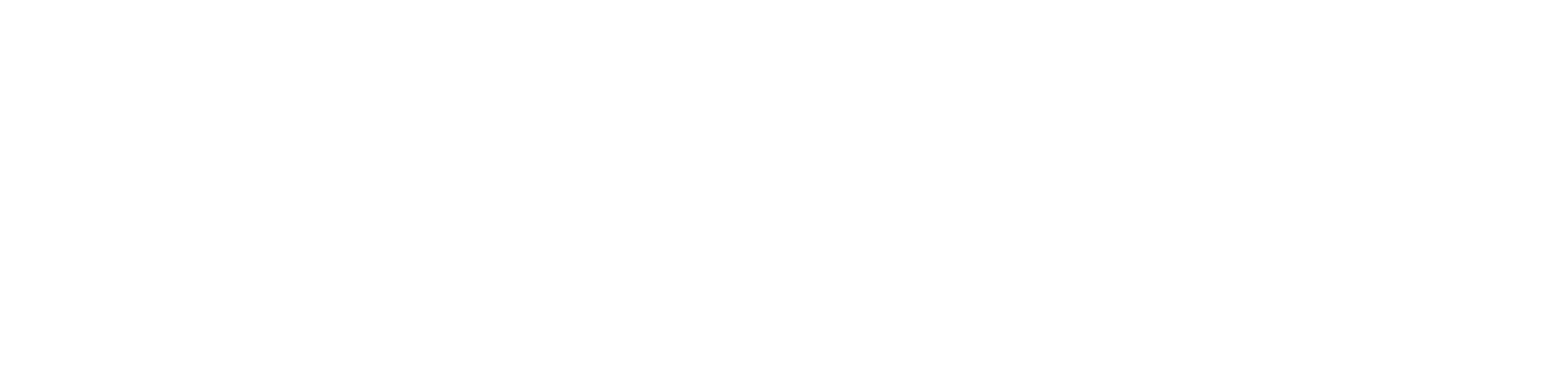 Prime Investment  Holdings LLC