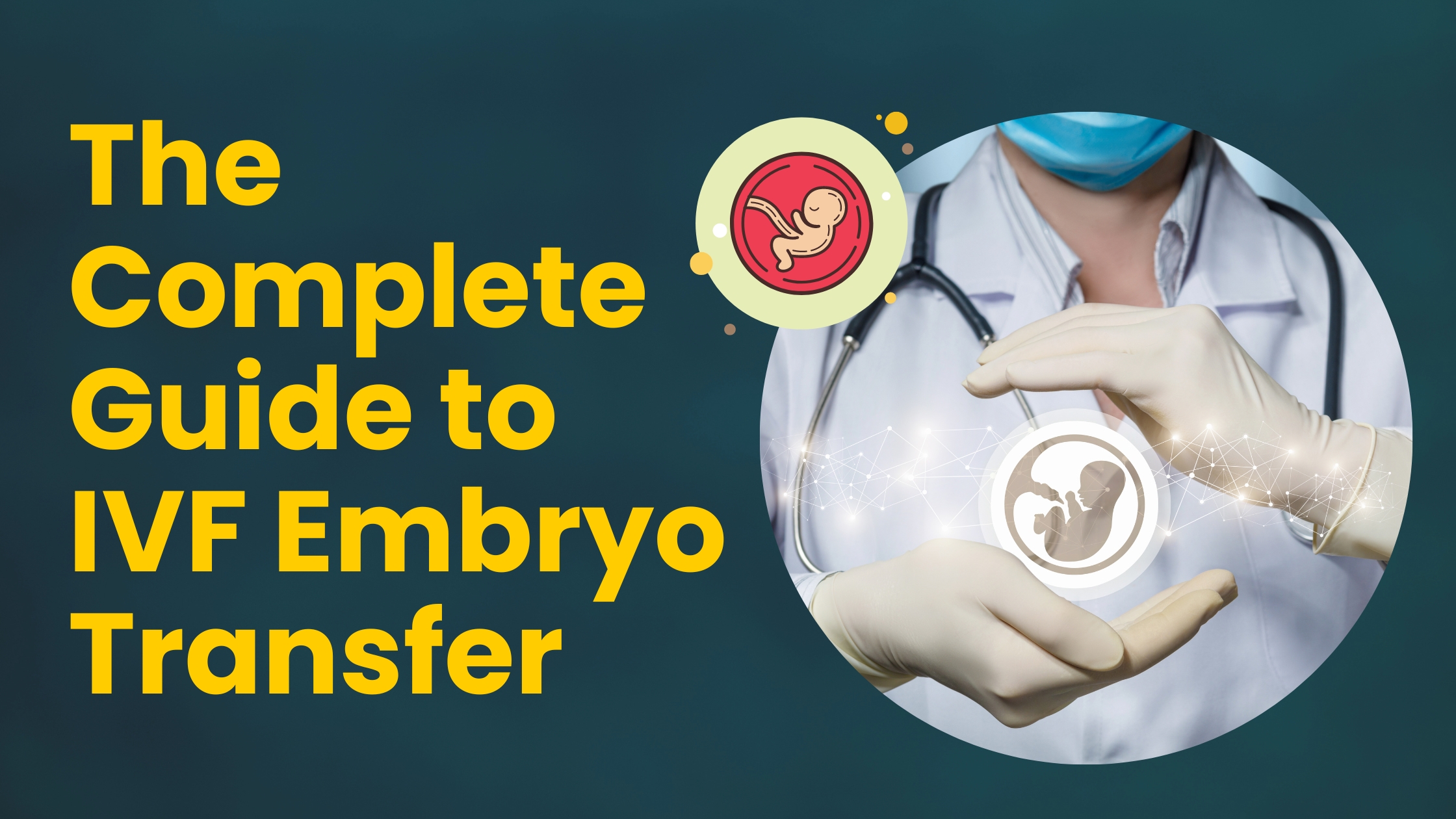 The Complete Guide to IVF Embryo Transfer