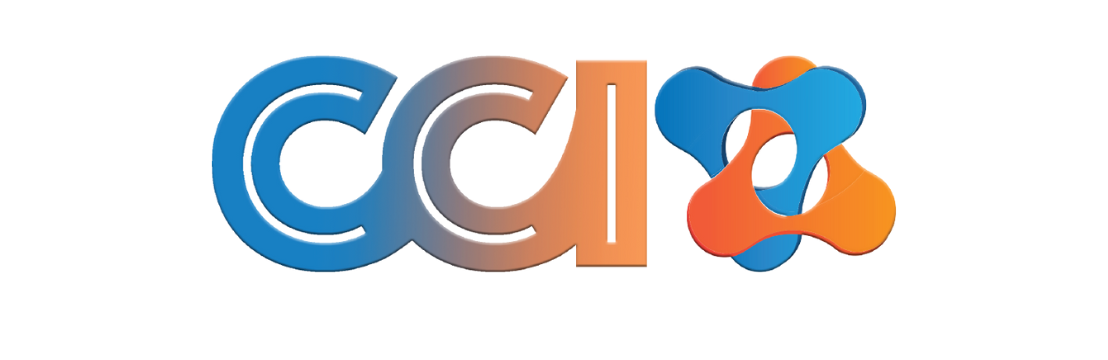 Critical  Connection Inc